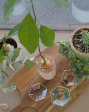 Load image into Gallery viewer, Avocado plant, Propagation cone, Roku, Avocado propagation cone, grow avocado, free indoor plant, life hack, stained glass, handmade, locally made, Sydney, Dulwich Hill, Australia, PidegoArt