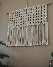 Load image into Gallery viewer, Classic Large Macrame wall hanging with indoor plants, Handmade in Dulwich Hill Sydney, PidegoArt