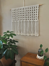 Load image into Gallery viewer, Classic Large Macrame wall hanging with indoor plants, Handmade in Dulwich Hill Sydney, PidegoArt
