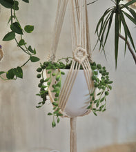 Load image into Gallery viewer, Macrame plant hanger with String of pearls