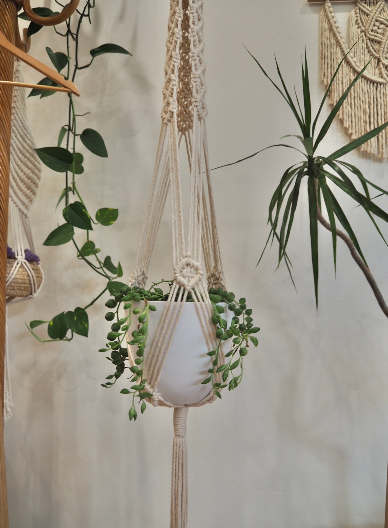 macrame plant hanger 6 strings Macrame Plant Hanger