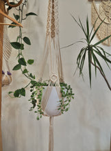 Load image into Gallery viewer, Macrame plant hanger with String of pearls, PidegoArt