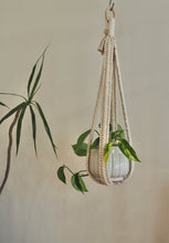 Load image into Gallery viewer, Minimalist Macrame, Plant hanger, Devil's Ivy, PidegoArt, Dulwich Hill, Sydney
