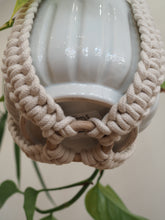 Load image into Gallery viewer, Bottom of Plant Hanger, Minimalist Macrame, Plant hanger, Devil's Ivy, PidegoArt, Dulwich Hill, Sydney