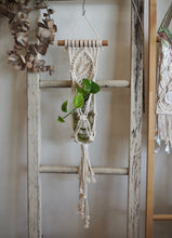 Load image into Gallery viewer, Mini Macrame Plant Hanger with hydro Devil's Ivy, handmade, Tasmanian Oak Dowel, Dulwich Hill Sydney PidegoArt
