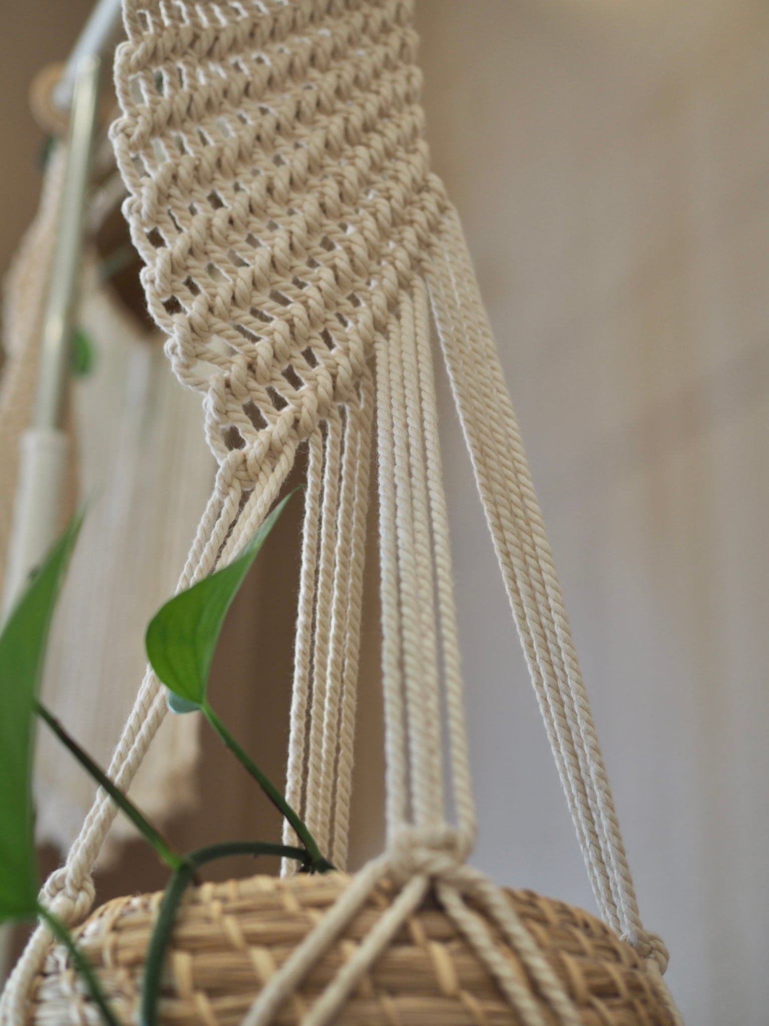 macrame spiral plant hanger Spiral Macrame Plant Hanger