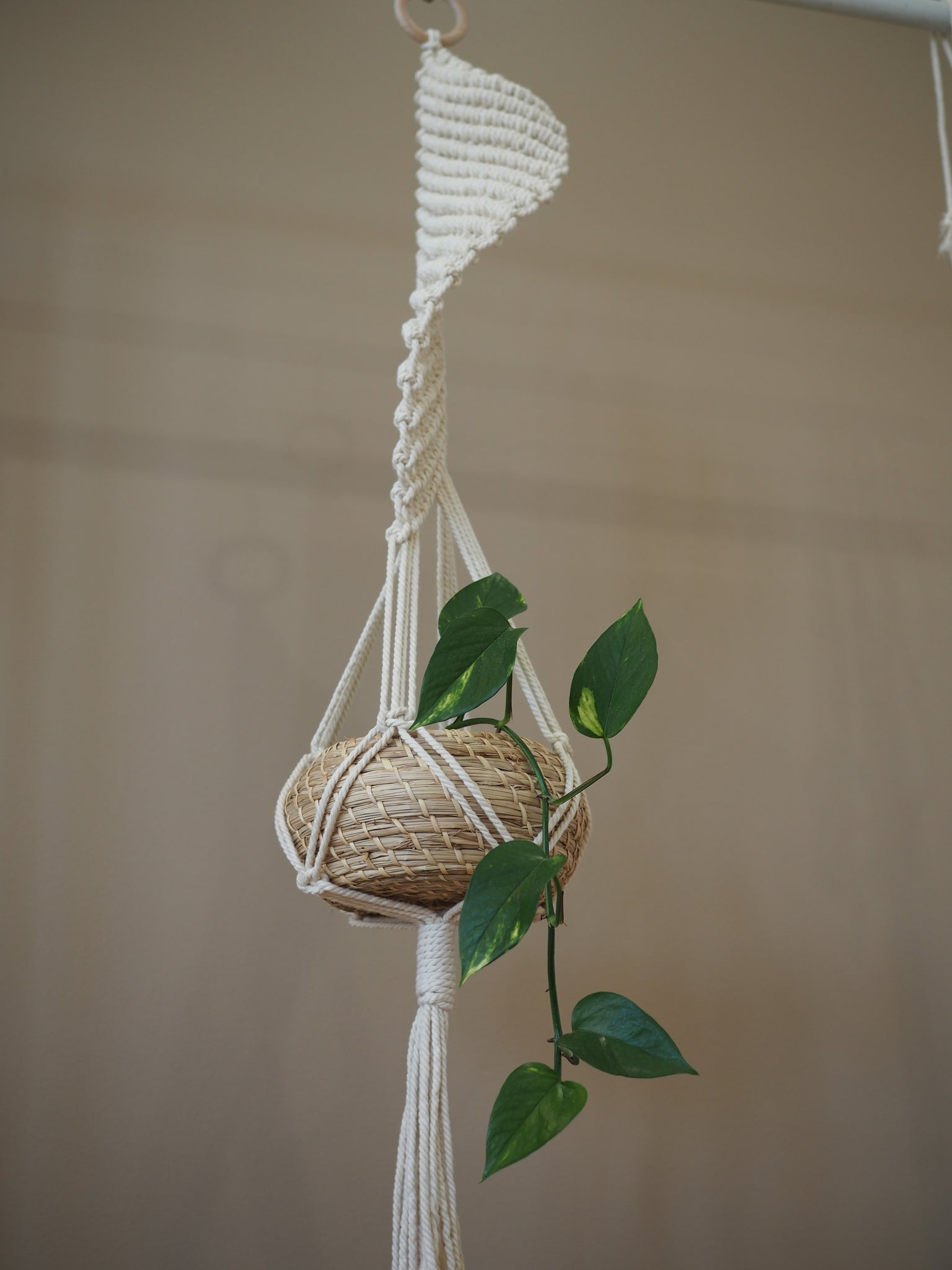 macrame spiral plant hanger Spiral Macrame Plant Hanger