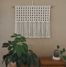 Load image into Gallery viewer, Classic Large Macrame wall hanging with indoor plants, Handmade in Dulwich Hill Sydney, PidegoArt
