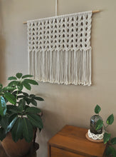 Load image into Gallery viewer, Classic Large Macrame wall hanging with indoor plants, Handmade in Dulwich Hill Sydney, PidegoArt
