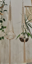 Load image into Gallery viewer, Macrame plant hanger with Avocado Hydro Plant
