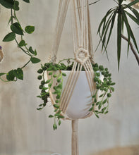 Load image into Gallery viewer, Macrame plant hanger with String of pearls
