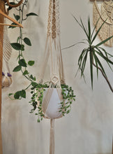 Load image into Gallery viewer, Macrame plant hanger with String of pearls, PidegoArt
