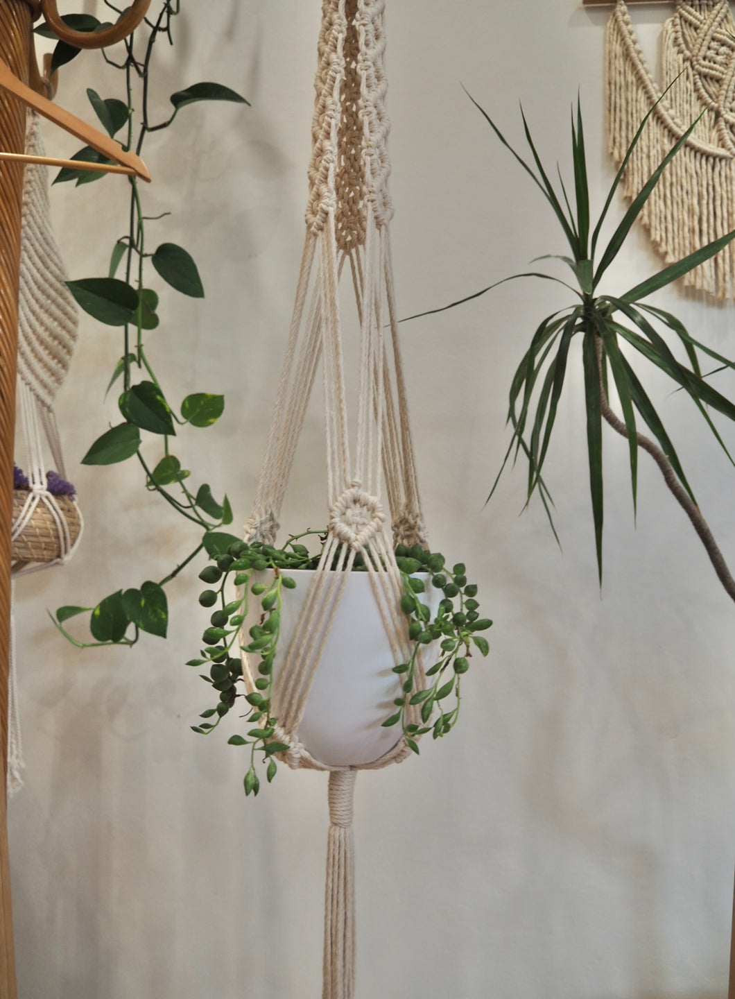 Macrame plant hanger with String of pearls, PidegoArt