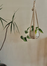 Load image into Gallery viewer, Minimalist Macrame, Macrame Plant hanger, Devil&#39;s Ivy, PidegoArt, Dulwich Hill, Sydney, Handmade Locally, Unique Design
