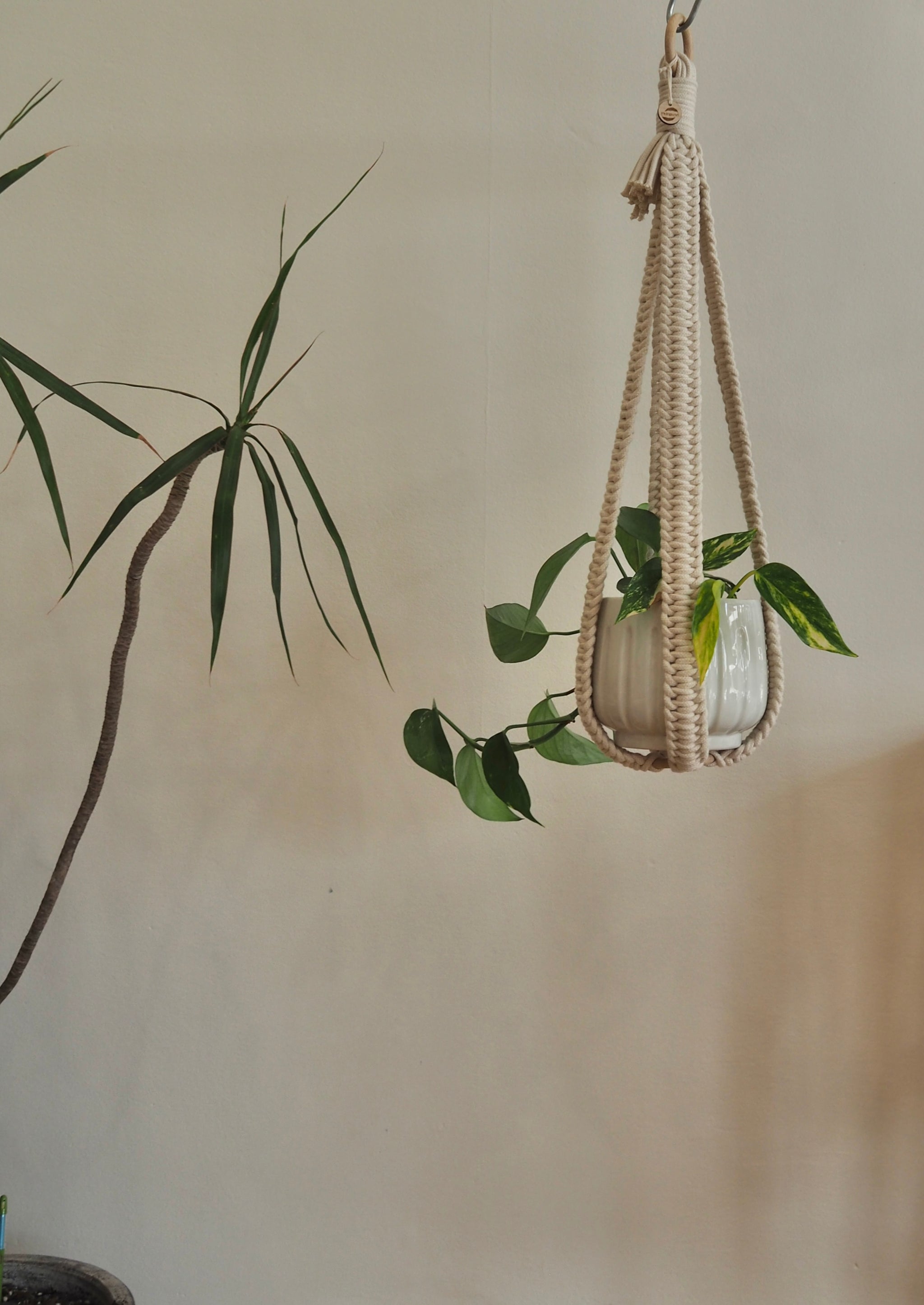 minimalist plant hanger Minimalist Macrame Plant Hanger