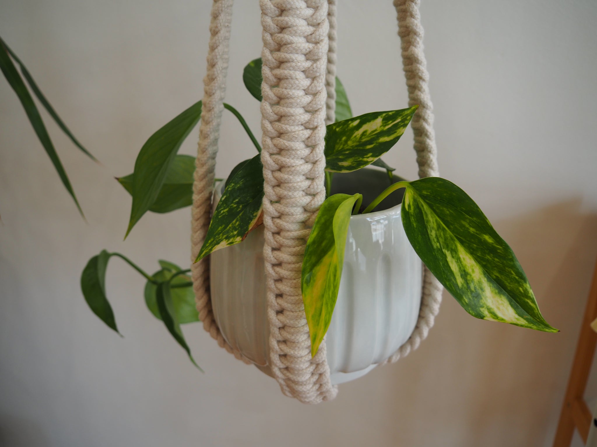 bottom of macrame plant hanger Minimalist Macrame Plant Hanger