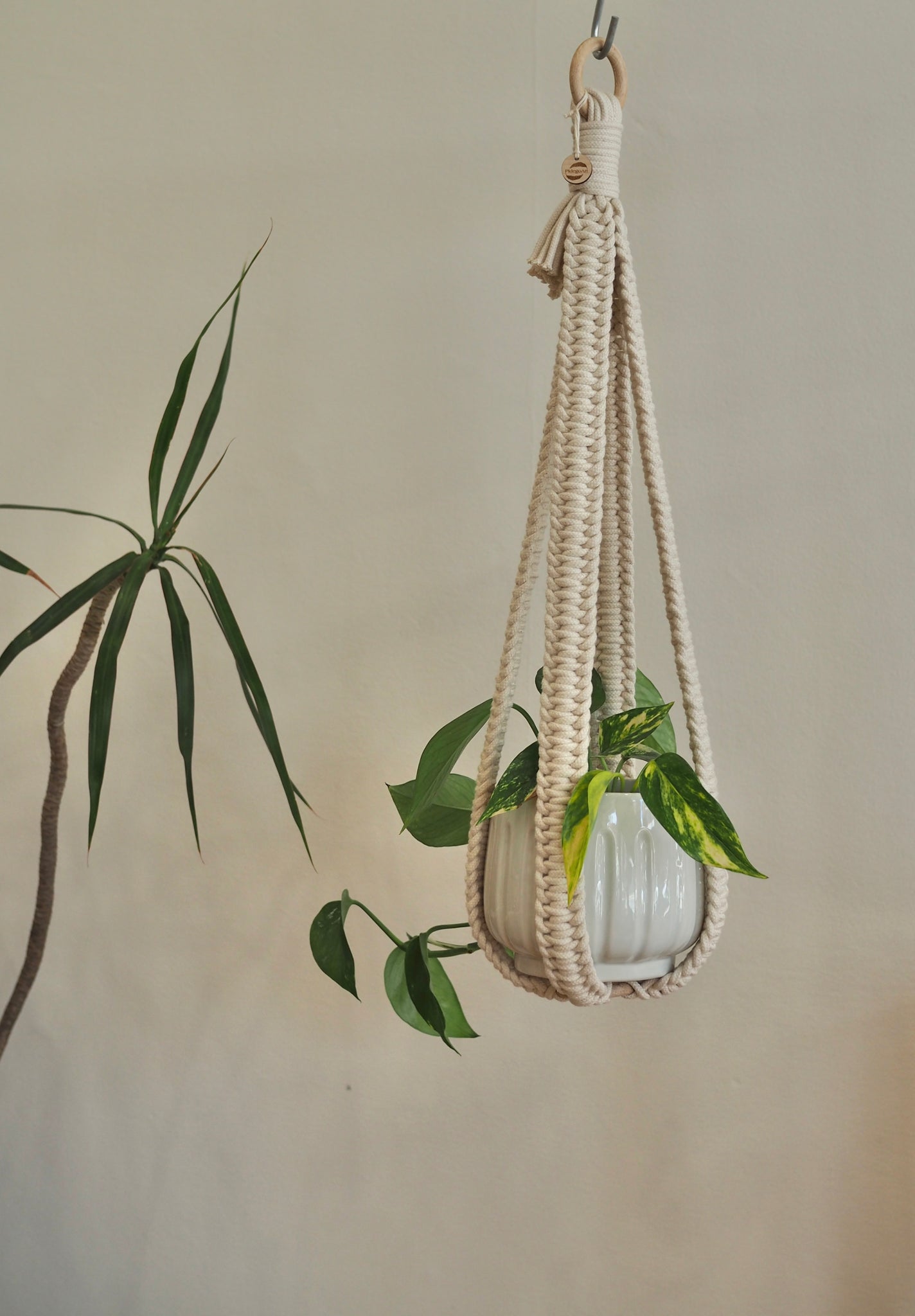 mini macrame plant hanger Minimalist Macrame Plant Hanger