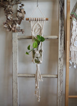 Load image into Gallery viewer, Mini Macrame Plant Hanger with hydro Devil&#39;s Ivy, handmade, Tasmanian Oak Dowel, Dulwich Hill Sydney PidegoArt
