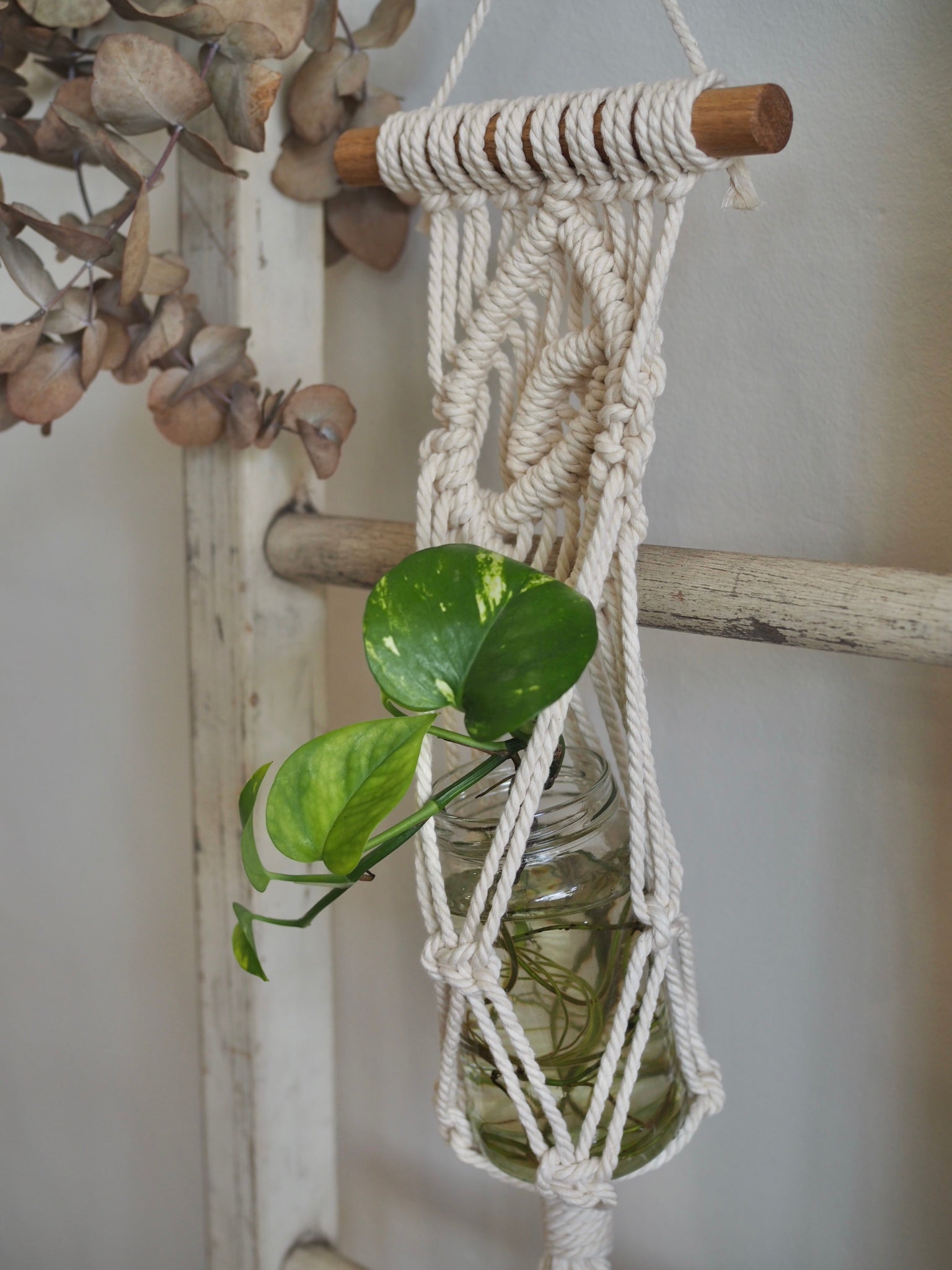 macrame plant hanger on dowel Macrame Mini Plant hanger