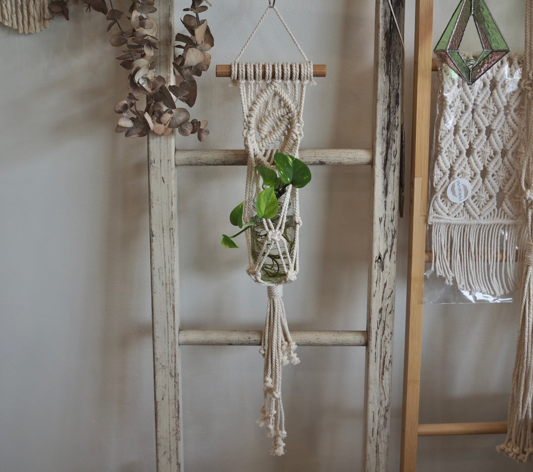 Mini Macrame Plant Hanger with hydro Devil's Ivy, handmade, Tasmanian Oak Dowel, Dulwich Hill Sydney PidegoArt